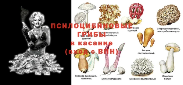 прущие грибы Володарск