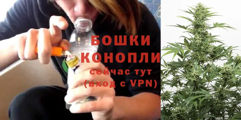 Марихуана White Widow  что такое наркотик  Кимовск 